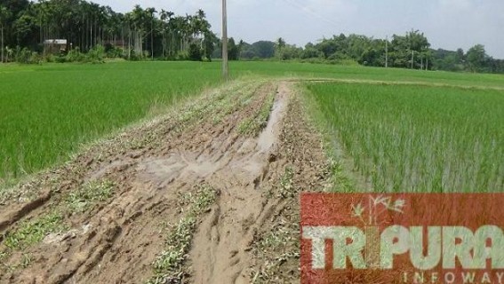 Deplorable road condition at Kamalpur: Panchayat authority still preparing to plan Deplorable road condition at Kamalpur: Panchayat authority still preparing to plan